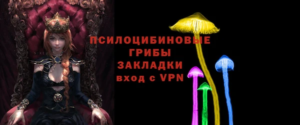 молекула духа Алзамай