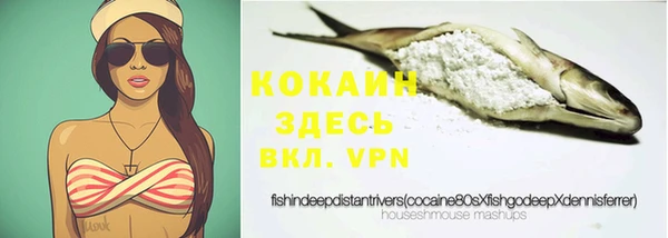 кокс Алексин