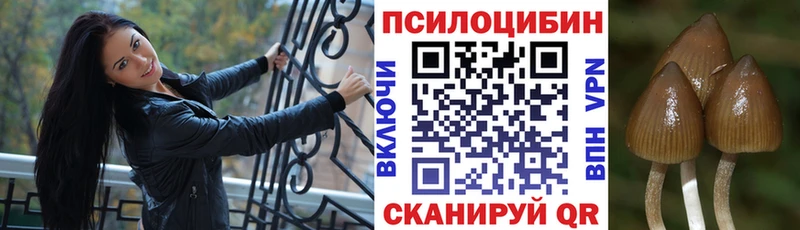 Псилоцибиновые грибы MAGIC MUSHROOMS  как найти закладки  Самара 