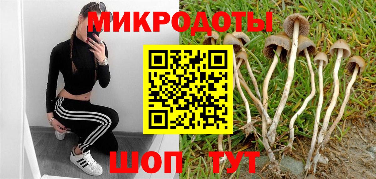 Псилоцибиновые грибы Magic Shrooms  Вход с VPN  Самара 