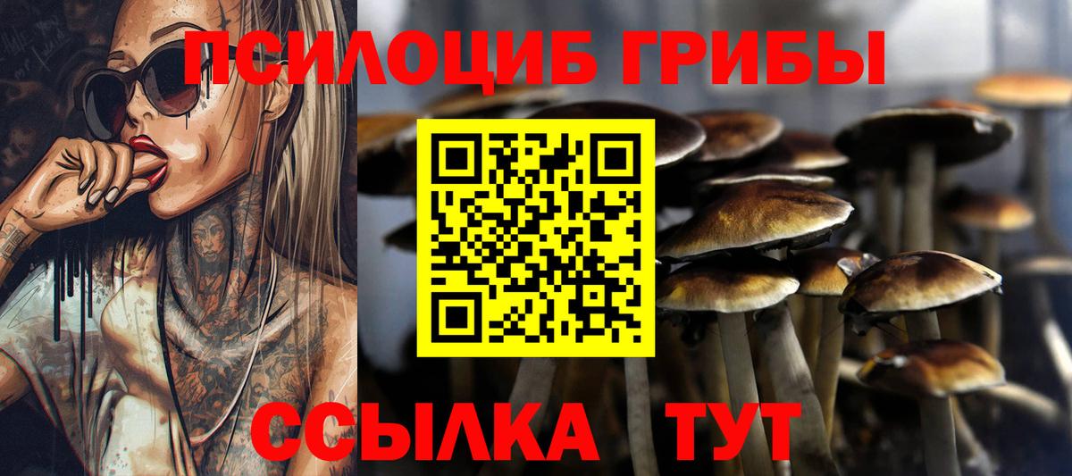 Псилоцибиновые грибы мицелий Самара